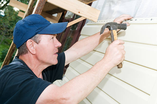 Best Fascia and Soffit Installation  in Fairmont, IL